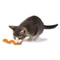 Petstages 06109 Catnip Wiggle Worm