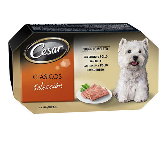 Wet food Cesar (4 x 150 g)