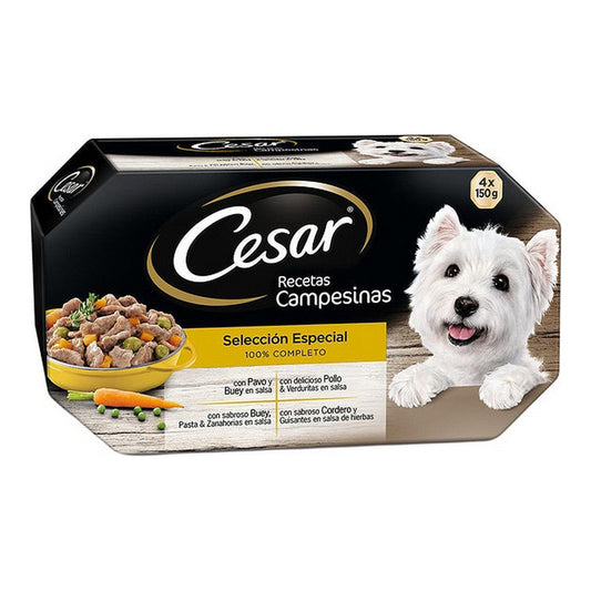 Wet food Cesar (4 x 150 g)