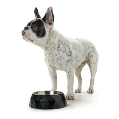 Dog Feeder Hunter Kimberley Melamin Black Stainless steel Triangular (14 x 14 x 4,5 cm)