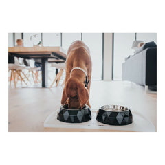 Dog Feeder Hunter Kimberley Melamin Black Stainless steel Triangular (14 x 14 x 4,5 cm)