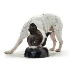 Dog Feeder Hunter Kimberley Melamin Stainless steel White Triangular (14 x 14 x 4,5 cm)