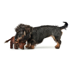 Soft toy for dogs Hunter Tough Kamerun Bison (24 cm)