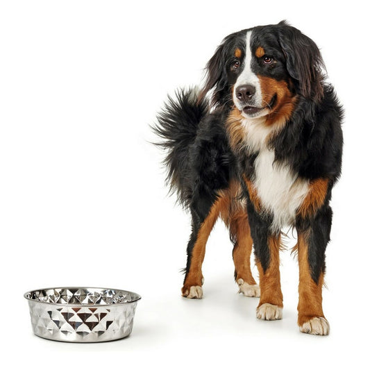 Dog Feeder Hunter Namy Silver Stainless steel Elegant (20,4 x 24,3 x 7,3 cm)