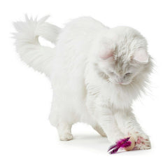 Cat toy Hunter Mala Feathers Pink Ball (4 cm)