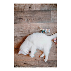 Cat wand Hunter Limana Cushion Catnip (32 cm)