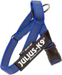 Julius-K9 IDC Color&Gray Lightweight Belt Harness XS/Mini-Mini Blue