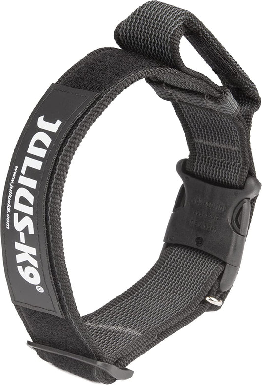 Julius-K9 IDC Color&Gray Collar With Handle 40mm Black