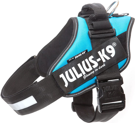 Julius-K9 IDC Power Harness XL/Size 2 Aquamarine