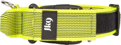 Julius-K9 IDC Color&Gray Collar With Handle 50mm Neon