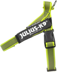 Julius-K9 IDC Color&Gray Lightweight Belt Harness S/Mini Neon