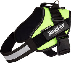 Julius-K9 IDC Power Harness M/Size 0 Neon Green