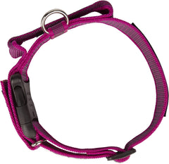 Julius-K9 IDC Color&Gray Collar With Handle 50mm Pink