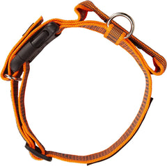 Julius-K9 IDC Color&Gray Collar With Handle 50mm Orange