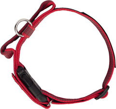 Julius-K9 IDC Color&Gray Collar With Handle 50mm Red