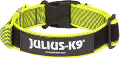 Julius-K9 IDC Color&Gray Collar With Handle 50mm Neon