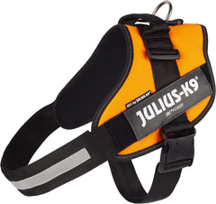 Julius-K9 IDC Power Harness 2XL/Size 3 UV Orange