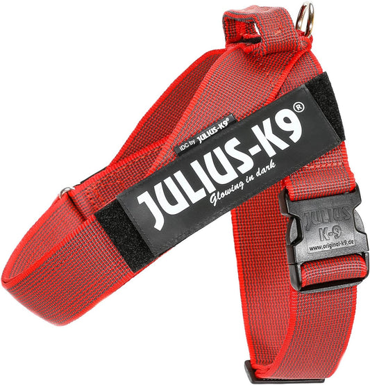 Julius-K9 IDC Color&Gray Lightweight Belt Harness XL/Size 2 Red