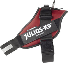 Julius-K9 IDC Power Harness XL/Size 2 Burgundy