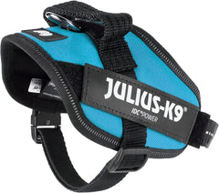 Julius-K9 IDC Power Harness XS/Mini-Mini Aquamarine