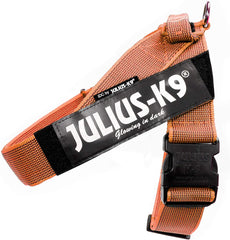 Julius-K9 IDC Color&Gray Lightweight Belt Harness XXL/Size 3 Orange