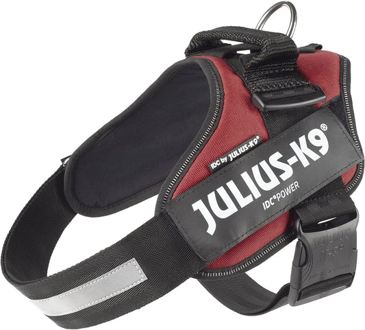 Julius-K9 IDC Power Harness L/Size 1 Burgundy