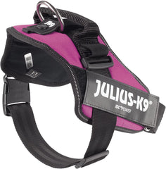 Julius-K9 IDC Power Harness L/Size 1 Dark Pink