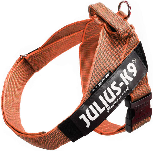 Julius-K9 IDC Color&Gray Lightweight Belt Harness XXL/Size 3 Orange