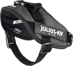 Julius-K9 IDC Power Harness S/Mini Anthracite