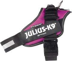 Julius-K9 IDC Power Harness L/Size 1 Dark Pink