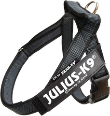 Julius-K9 IDC Color&Gray Lightweight Belt Harness S/Mini Black