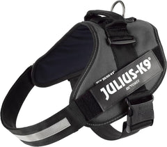 Julius-K9 IDC Power Harness 2XL/Size 3 Anthracite