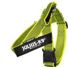 Julius-K9 IDC Color&Gray Lightweight Belt Harness M/Size 0 Neon