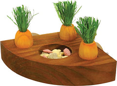 Rosewood 19260 Boredom Breakers Carrot Toy 'n' Treat Holder