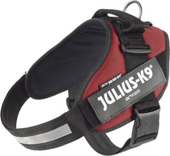 Julius-K9 IDC Power Harness XL/Size 2 Burgundy