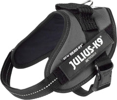 Julius-K9 IDC Power Harness S/Mini Anthracite