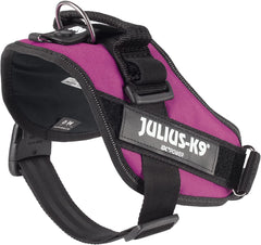 Julius-K9 IDC Power Harness M/Size 0 Dark Pink