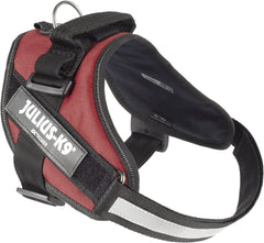 Julius-K9 IDC Power Harness M/Size 0 Burgundy