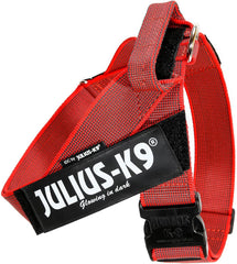 Julius-K9 IDC Color&Gray Lightweight Belt Harness L/Size 1 Red