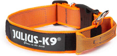 Julius-K9 IDC Color&Gray Collar With Handle 50mm Orange