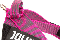 Julius-K9 IDC Color&Gray Lightweight Belt Harness L/Size 1 Pink