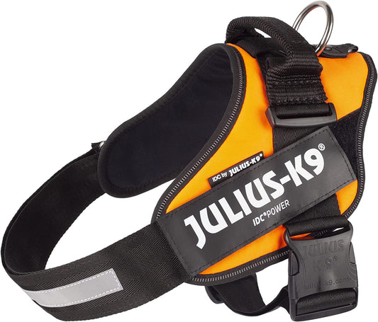 Julius-K9 IDC Power Harness L/Size 1 UV Orange