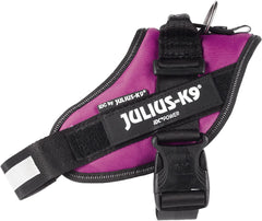 Julius-K9 IDC Power Harness M/Size 0 Dark Pink