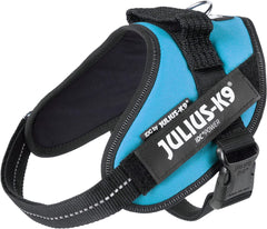 Julius-K9 IDC Power Harness S/Mini Aquamarine