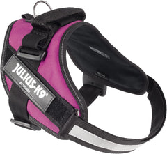 Julius-K9 IDC Power Harness M/Size 0 Dark Pink