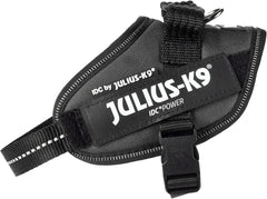 Julius-K9 IDC Power Harness XS/Mini-Mini Anthracite