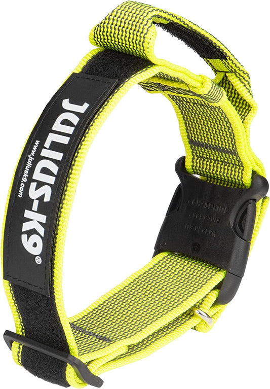 Julius-K9 IDC Color&Gray Collar With Handle 40mm Neon