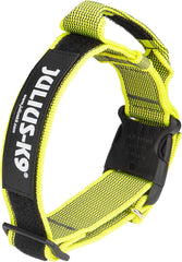 Julius-K9 IDC Color&Gray Collar With Handle 50mm Neon