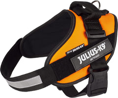 Julius-K9 IDC Power Harness M/Size 0 UV Orange