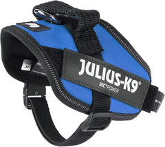 Julius-K9 IDC Power Harness XS/Mini-Mini Blue